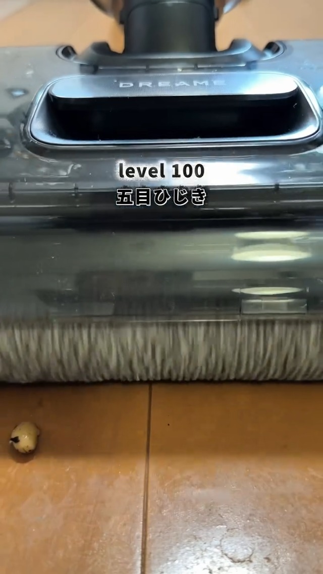 Amazon.co.jp: dreame (ドリーミー) T16 水拭き掃除機 乾湿両用 25,000